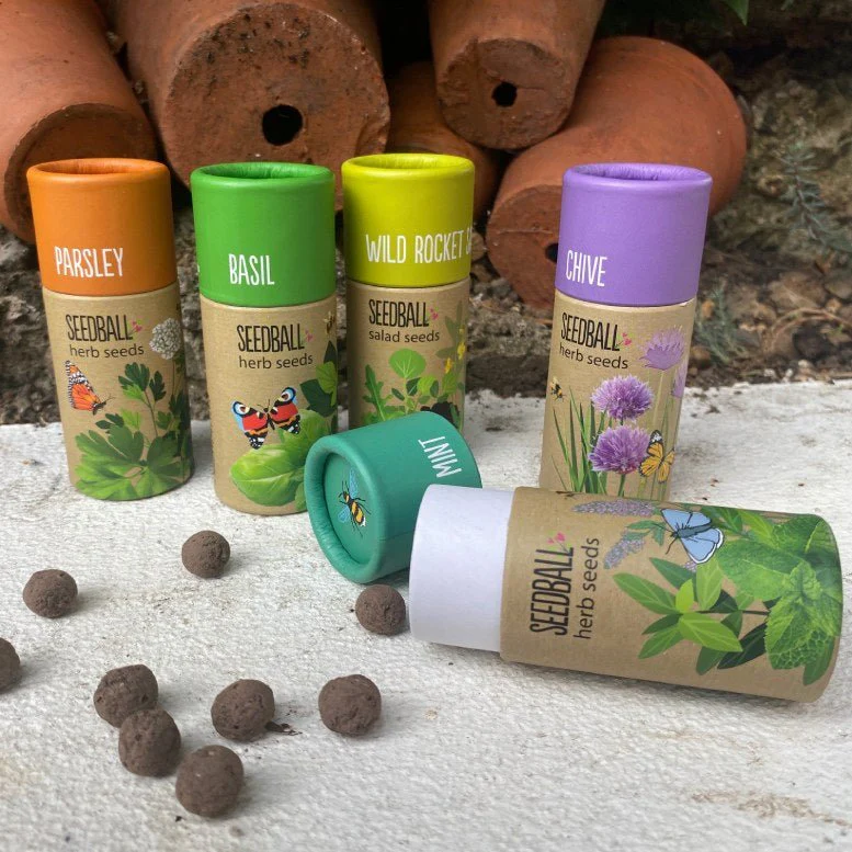 Set of 5 Garden Herbs Seedball Tubes - Image 3