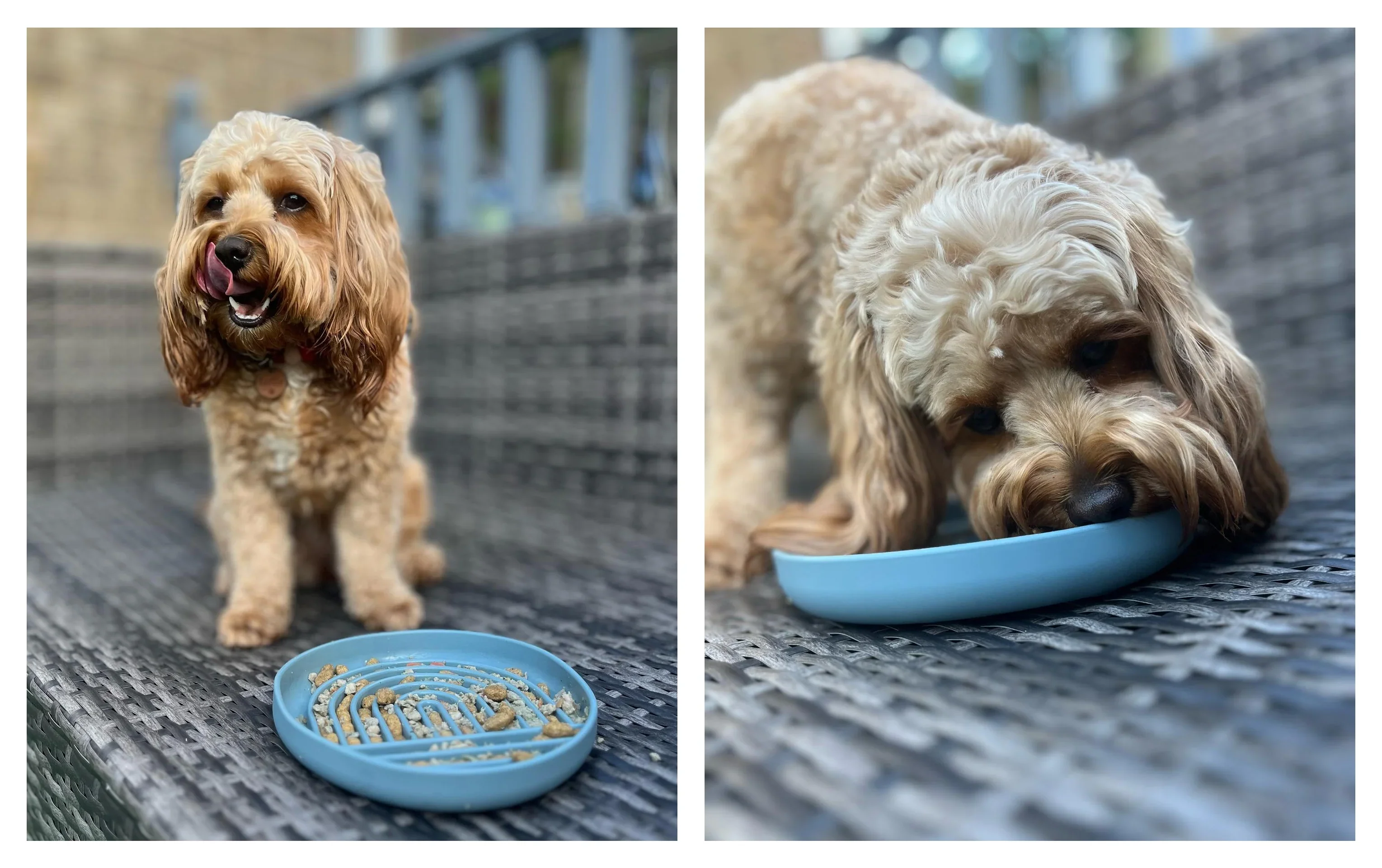 Silicone Slow Feeder Bowl - Orange - Image 4