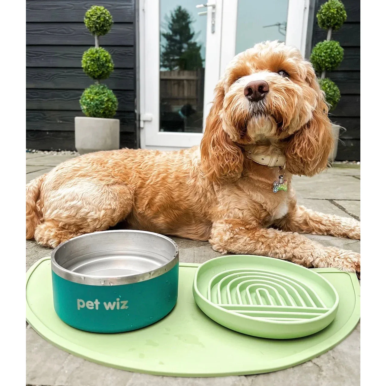 Stainless Steel Double Walled Dog Bowl - Teal - Image 3