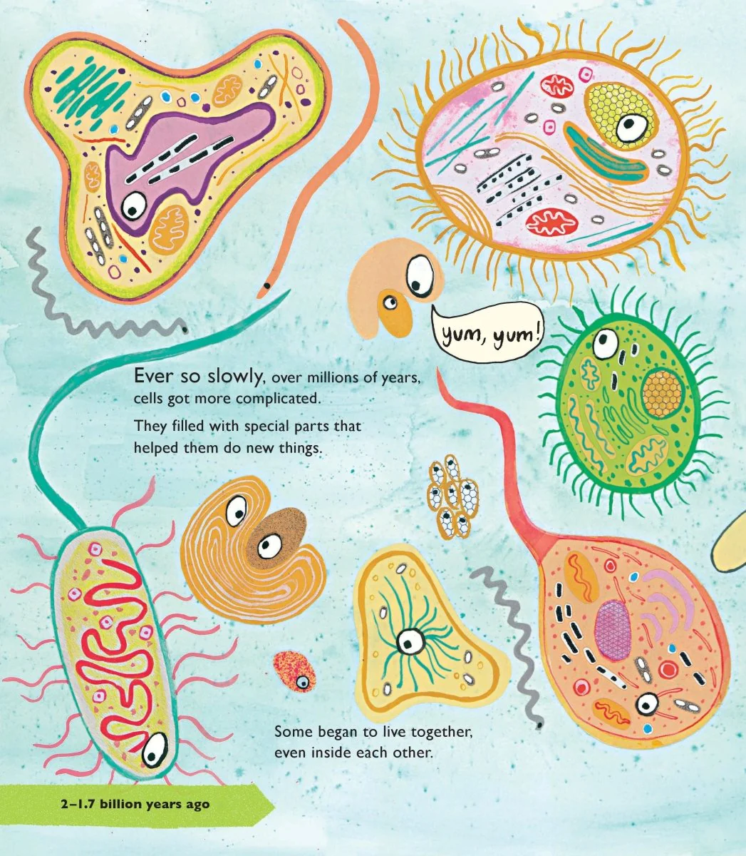 Story Of Life: A First Book About Evolution - Image 2