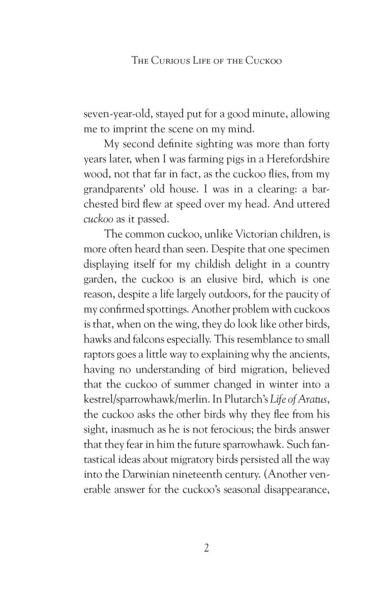 The Curious Life of the Cuckoo - Image 6