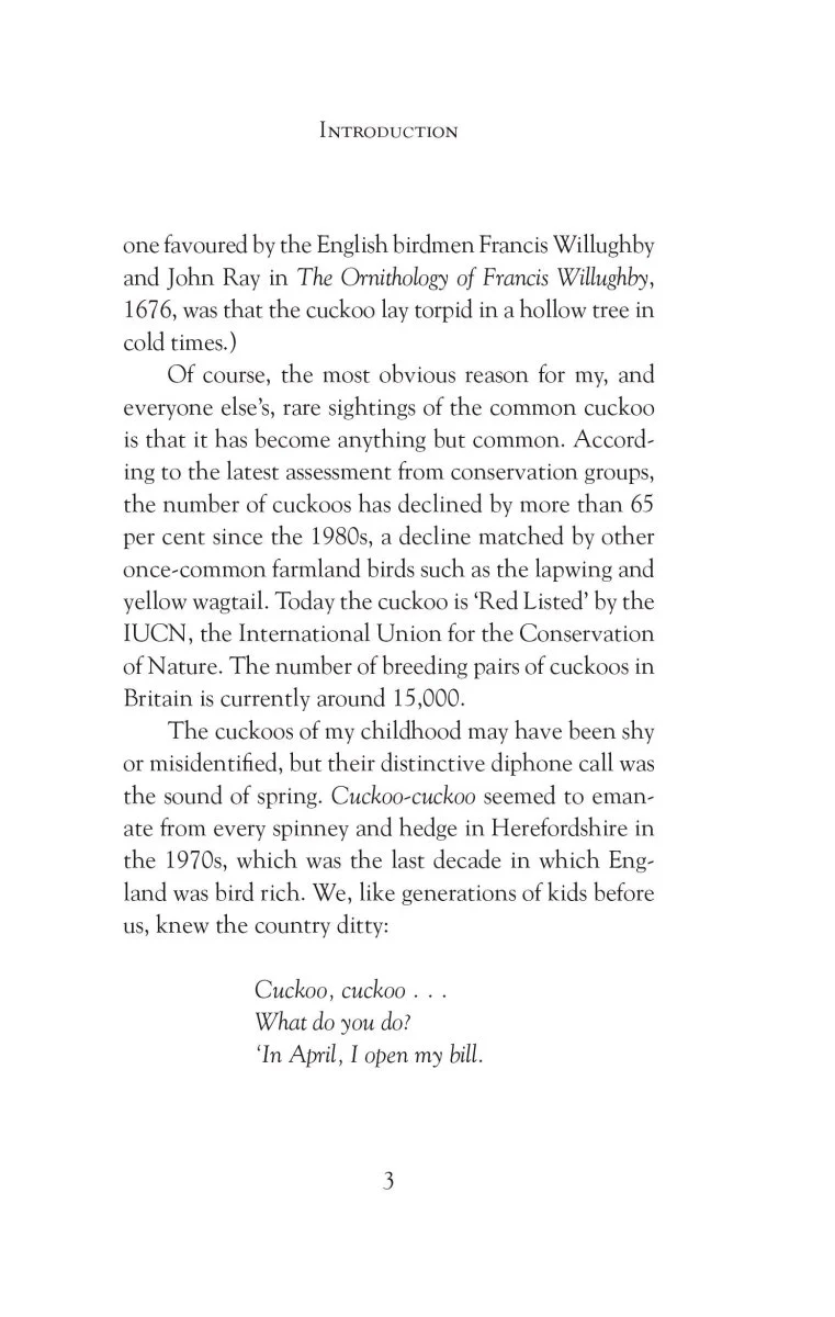 The Curious Life of the Cuckoo - Image 7
