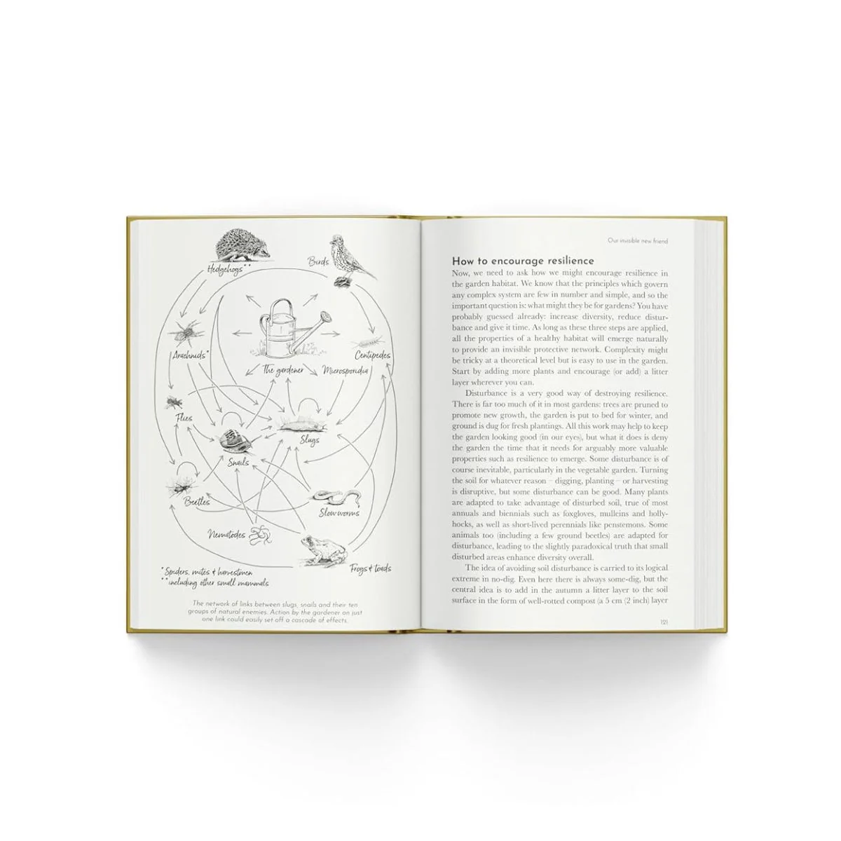 The Good Slug Guide - Image 2