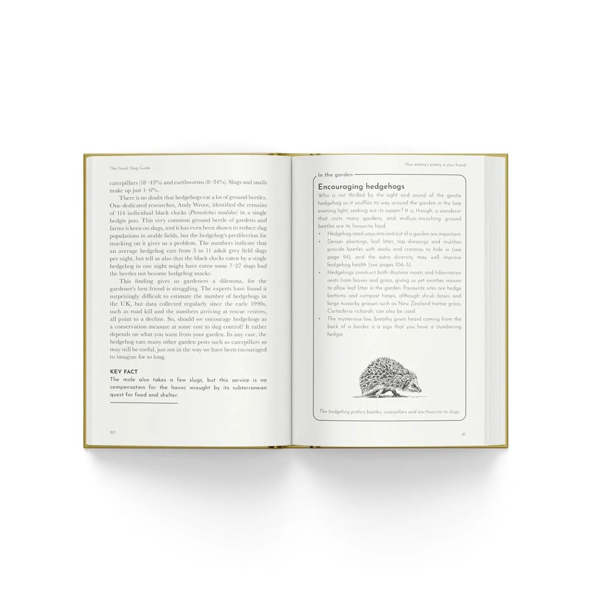 The Good Slug Guide - Image 4