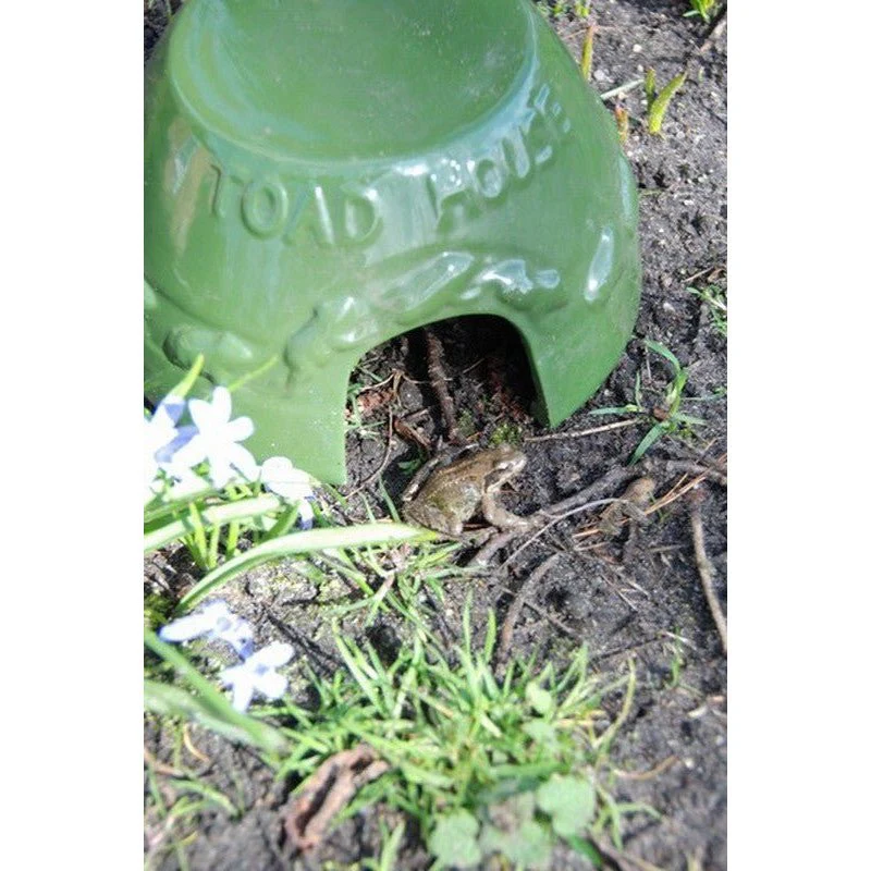 Toad House - Image 3