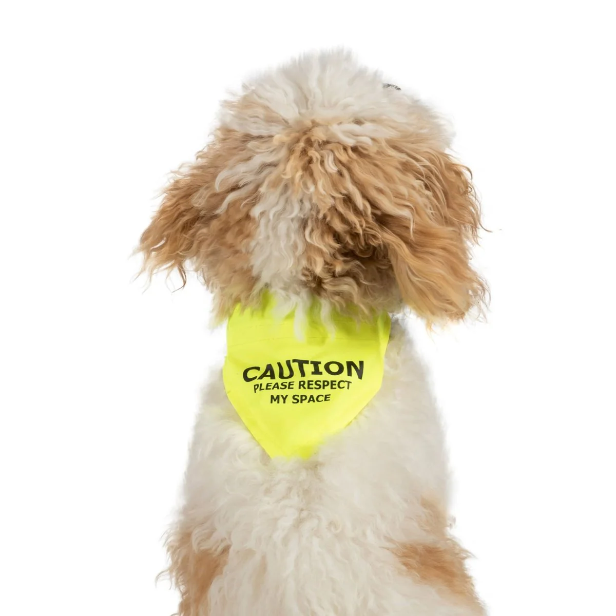 Yellow 'Respect My Space' Dog Bandana - Image 2